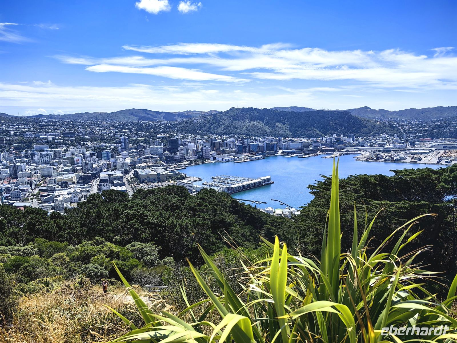 Lookout Wellington &ndash; &copy; Simone Willner (Eberhardt TRAVEL)