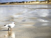 ... kommt aber wieder &ndash; &copy; Simone Willner (Eberhardt TRAVEL)