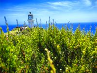 Lighthouse Cape Reinga &ndash; &copy; Simone Willner (Eberhardt TRAVEL)