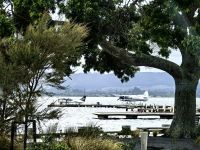 Rotorua &ndash; &copy; Simone Willner (Eberhardt TRAVEL)