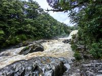 Tawhai Wasserfall &ndash; &copy; Simone Willner (Eberhardt TRAVEL)