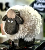 Schaf, davon gibt es Hunderttausende in Neuseeland  &ndash; &copy; Simone Willner (Eberhardt TRAVEL)