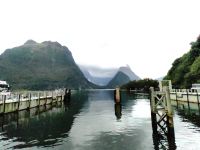 Milford Sound Hafen &ndash; &copy; Simone Willner (Eberhardt TRAVEL)