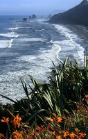Tasmanische See &ndash; &copy; Simone Willner (Eberhardt TRAVEL)