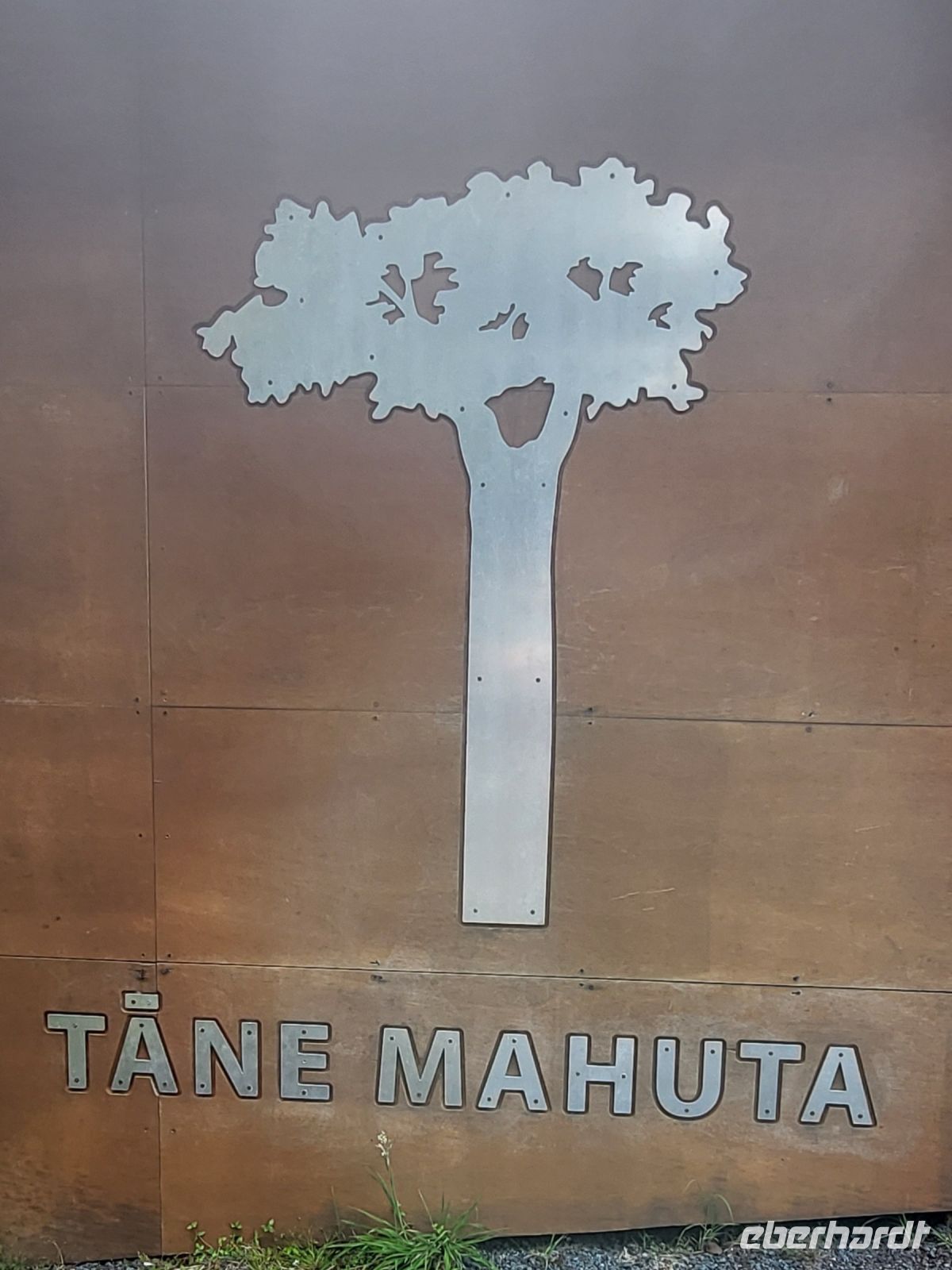 56 Tane Mahuta &ndash; &copy; Susanne Schirmann (Eberhardt TRAVEL)