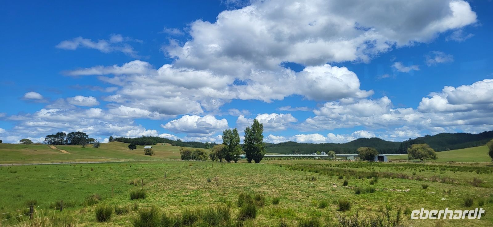 87 on the road again &ndash; &copy; Susanne Schirmann (Eberhardt TRAVEL)