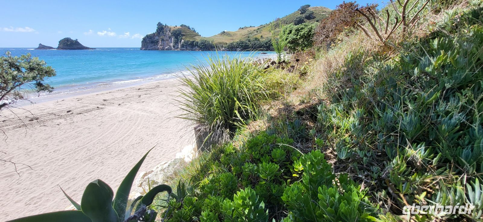 98 Hahei Beach &ndash; &copy; Susanne Schirmann (Eberhardt TRAVEL)