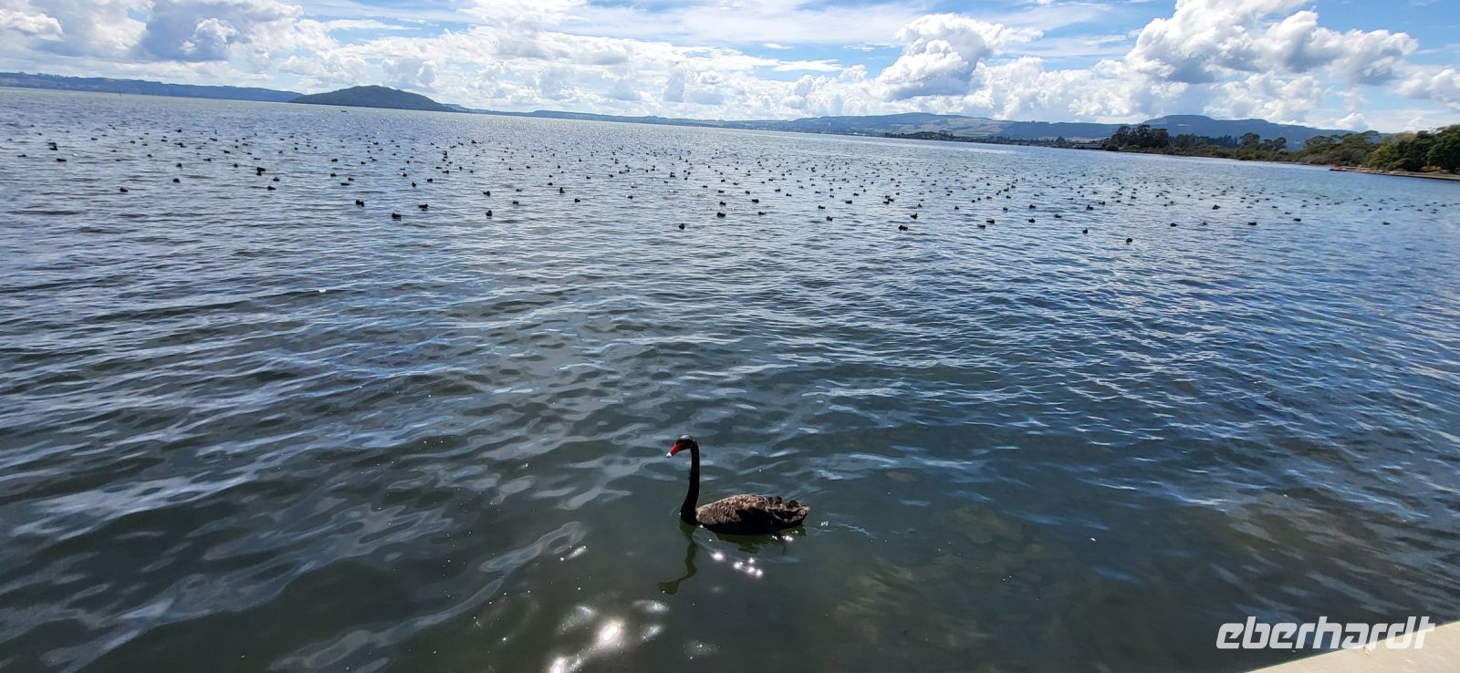 108 Lake Rotorua &ndash; &copy; Susanne Schirmann (Eberhardt TRAVEL)