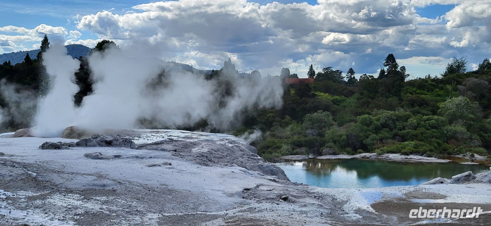121 Geysire Te Puia &ndash; &copy; Susanne Schirmann (Eberhardt TRAVEL)