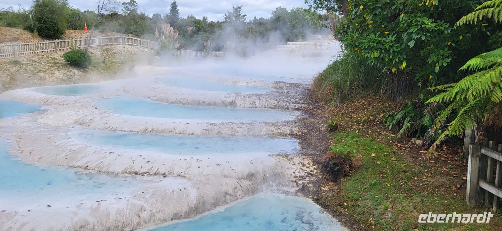 131 Wairakei Terrassen &ndash; &copy; Susanne Schirmann (Eberhardt TRAVEL)