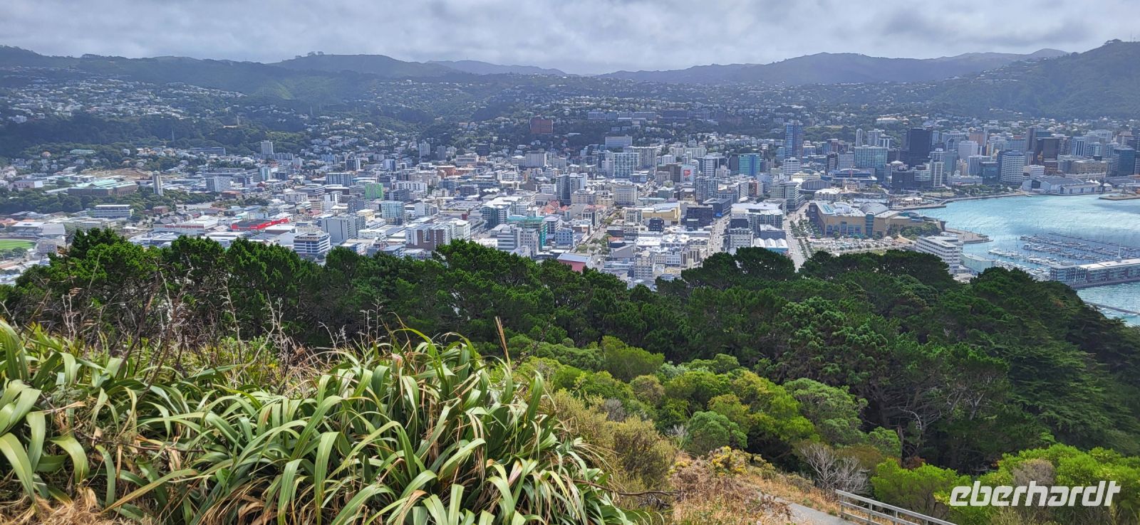 139 Mount Victoria mit Blick auf Wellington &ndash; &copy; Susanne Schirmann (Eberhardt TRAVEL)