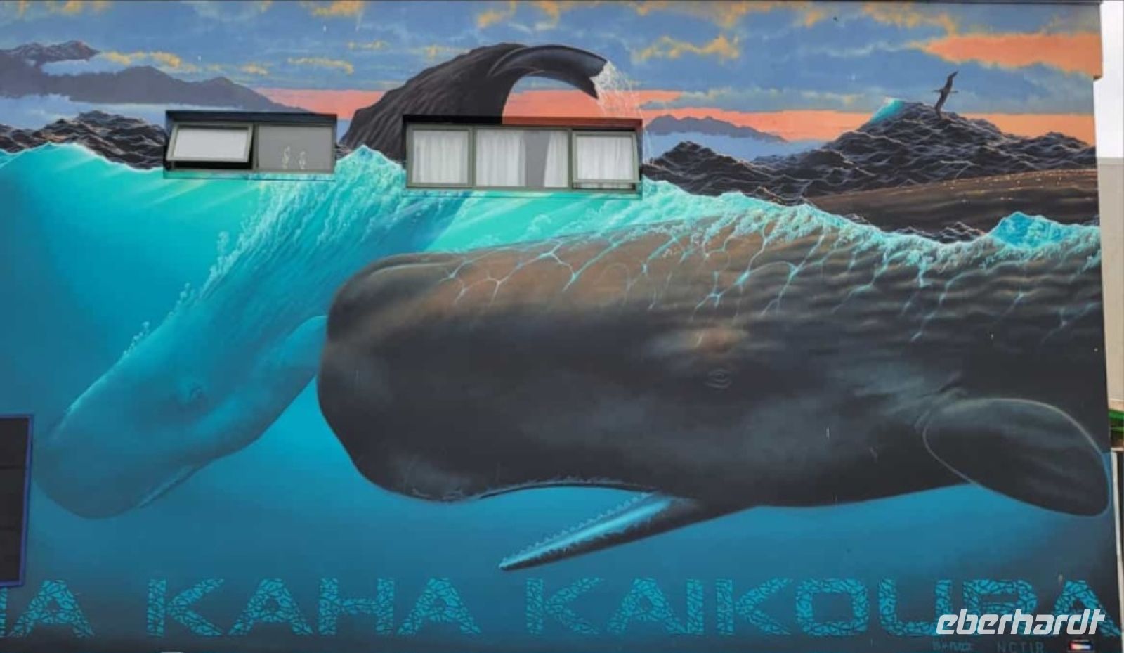 151 Kaikoura &ndash; &copy; Susanne Schirmann (Eberhardt TRAVEL)