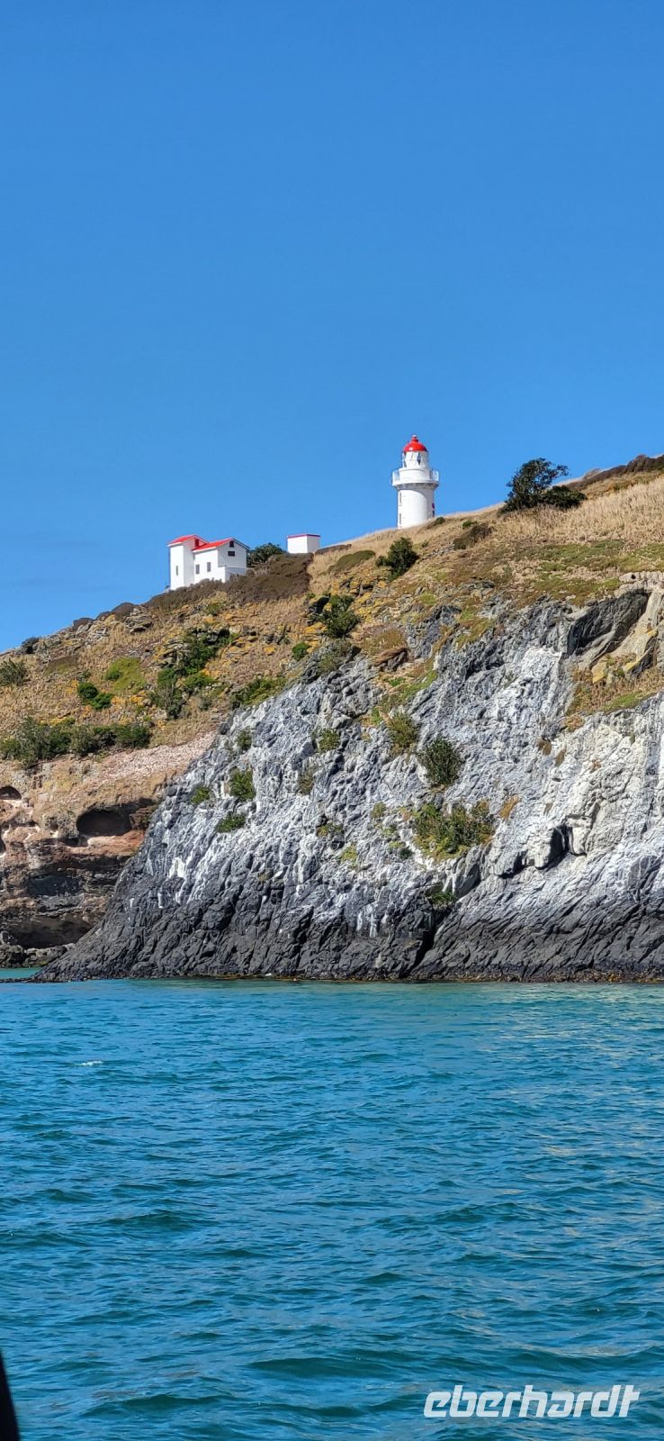 193 Otago Bay &ndash; &copy; Susanne Schirmann (Eberhardt TRAVEL)