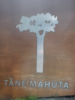 56 Tane Mahuta &ndash; &copy; Susanne Schirmann (Eberhardt TRAVEL)