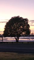 106 der Tag erwacht &ndash; &copy; Susanne Schirmann (Eberhardt TRAVEL)