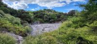 118 Te Puia &ndash; &copy; Susanne Schirmann (Eberhardt TRAVEL)