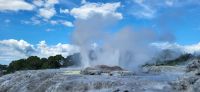 122 Te Puia &ndash; &copy; Susanne Schirmann (Eberhardt TRAVEL)