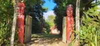 128 Wairakei Terrassen &ndash; &copy; Susanne Schirmann (Eberhardt TRAVEL)