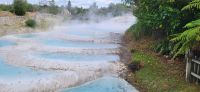 131 Wairakei Terrassen &ndash; &copy; Susanne Schirmann (Eberhardt TRAVEL)