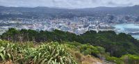 139 Mount Victoria mit Blick auf Wellington &ndash; &copy; Susanne Schirmann (Eberhardt TRAVEL)