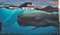 151 Kaikoura &ndash; &copy; Susanne Schirmann (Eberhardt TRAVEL)