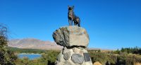 171 berühmter Hirtenhund &ndash; &copy; Susanne Schirmann (Eberhardt TRAVEL)