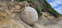183 Moeraki Boulders &ndash; &copy; Susanne Schirmann (Eberhardt TRAVEL)