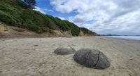 184 Moeraki Boulders &ndash; &copy; Susanne Schirmann (Eberhardt TRAVEL)
