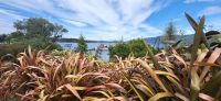 198 Lake Teanau &ndash; &copy; Susanne Schirmann (Eberhardt TRAVEL)