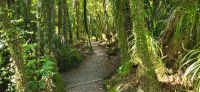 280 Truman Track &ndash; &copy; Susanne Schirmann (Eberhardt TRAVEL)