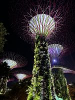 Singapur &ndash; &copy; Francisco Javier Burgos Gutierrez (Eberhardt TRAVEL)