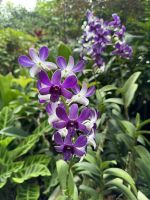 Singapur  &ndash; &copy; Francisco Javier Burgos Gutierrez (Eberhardt TRAVEL)