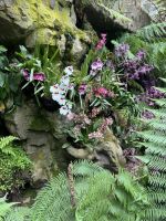 Singapur  &ndash; &copy; Francisco Javier Burgos Gutierrez (Eberhardt TRAVEL)