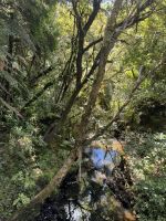 Tape Mahuta  &ndash; &copy; Francisco Javier Burgos Gutierrez (Eberhardt TRAVEL)
