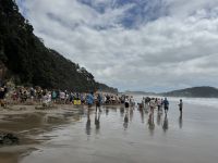 Hot Water Beach  &ndash; &copy; Francisco Javier Burgos Gutierrez (Eberhardt TRAVEL)