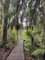 Whenuakite  &ndash; &copy; Francisco Javier Burgos Gutierrez (Eberhardt TRAVEL)