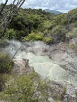 Wai-O-Tapu  &ndash; &copy; Francisco Javier Burgos Gutierrez (Eberhardt TRAVEL)