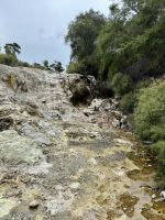 Wai-O-Tapu  &ndash; &copy; Francisco Javier Burgos Gutierrez (Eberhardt TRAVEL)