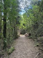 Rotoponaumo  &ndash; &copy; Francisco Javier Burgos Gutierrez (Eberhardt TRAVEL)