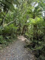 Rotoponaumo  &ndash; &copy; Francisco Javier Burgos Gutierrez (Eberhardt TRAVEL)