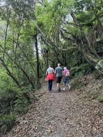 Rotoponaumo  &ndash; &copy; Francisco Javier Burgos Gutierrez (Eberhardt TRAVEL)
