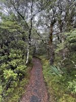Tongairo  &ndash; &copy; Francisco Javier Burgos Gutierrez (Eberhardt TRAVEL)