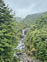 Tongairo  &ndash; &copy; Francisco Javier Burgos Gutierrez (Eberhardt TRAVEL)