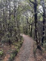 Tongairo  &ndash; &copy; Francisco Javier Burgos Gutierrez (Eberhardt TRAVEL)