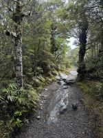 Tongairo &ndash; &copy; Francisco Javier Burgos Gutierrez (Eberhardt TRAVEL)