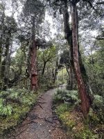 Tongairo  &ndash; &copy; Francisco Javier Burgos Gutierrez (Eberhardt TRAVEL)