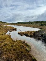 Tongairo  &ndash; &copy; Francisco Javier Burgos Gutierrez (Eberhardt TRAVEL)
