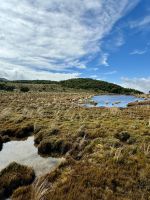 Tongairo  &ndash; &copy; Francisco Javier Burgos Gutierrez (Eberhardt TRAVEL)