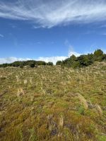 Tongairo  &ndash; &copy; Francisco Javier Burgos Gutierrez (Eberhardt TRAVEL)