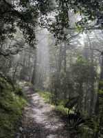 Tongairo &ndash; &copy; Francisco Javier Burgos Gutierrez (Eberhardt TRAVEL)